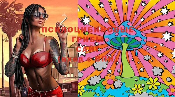 mdpv Слюдянка