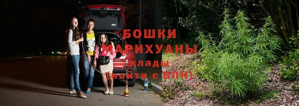 ALPHA PVP Снежногорск