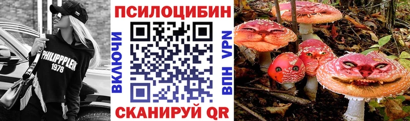 Галлюциногенные грибы ЛСД Купить закладки Пятигорск